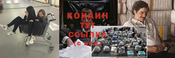 ПСИЛОЦИБИНОВЫЕ ГРИБЫ Инта