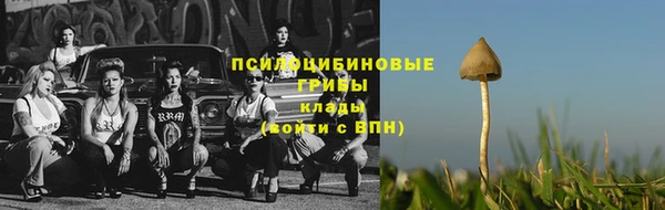 дживик Иннополис