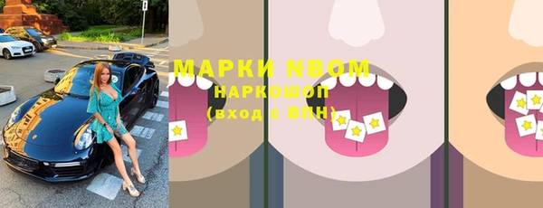 ПСИЛОЦИБИНОВЫЕ ГРИБЫ Инта