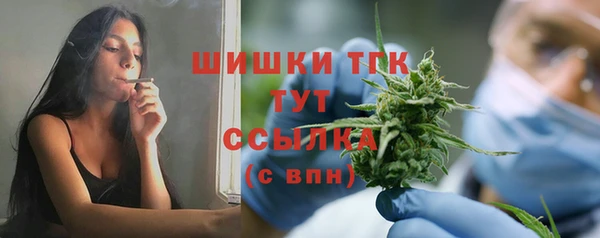 ПСИЛОЦИБИНОВЫЕ ГРИБЫ Инта