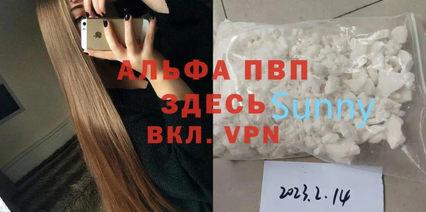 ПСИЛОЦИБИНОВЫЕ ГРИБЫ Инта