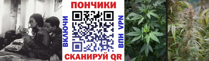 Конопля семена  Купить закладки  Тайга 